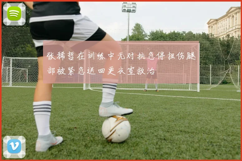 张稀哲在训练中无对抗急停扭伤腿部被紧急送回更衣室救治